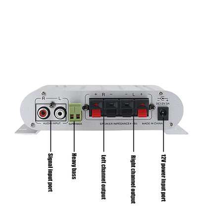 Rear panel of the mini amplifier with labeled inputs and outputs