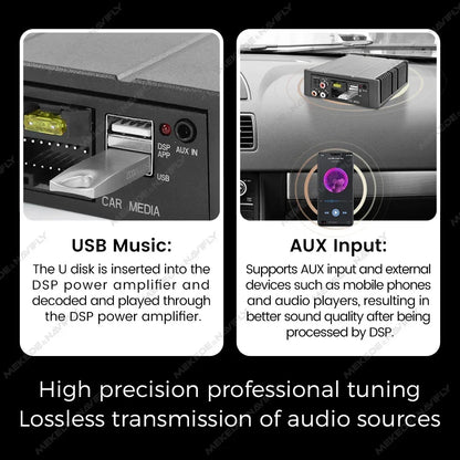 USB music and AUX input on the DSP amplifier