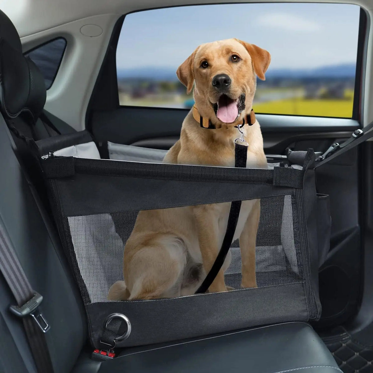 Portable Dog Car Seat and Carrier with Mesh Protector, Waterproof Nylon Pet Travel Seat for Medium-Sized Dogs, Gray or Black